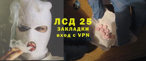 спайс Каменка