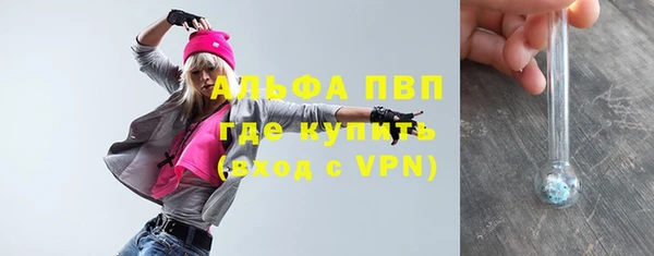 спайс Каменка