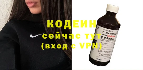 спайс Каменка