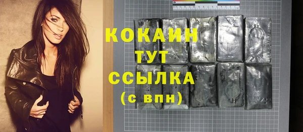 2c-b Инта
