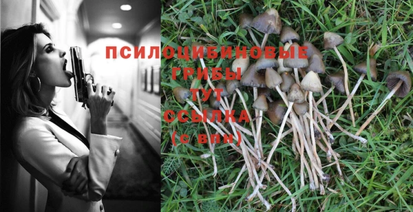 стафф Иннополис