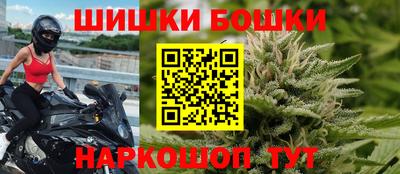 МДПВ Будённовск