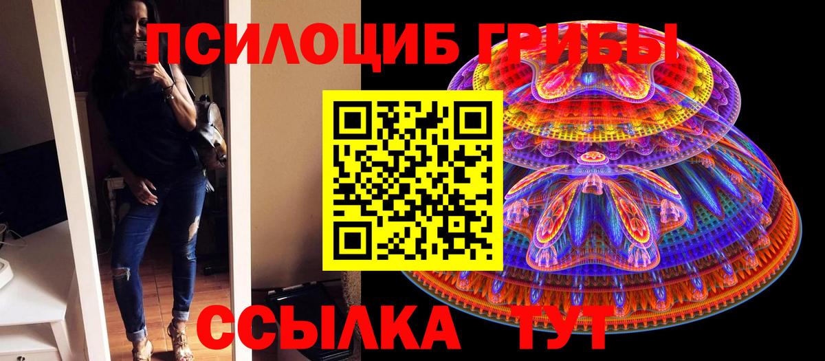 Галлюциногенные грибы MAGIC MUSHROOMS Кингисепп