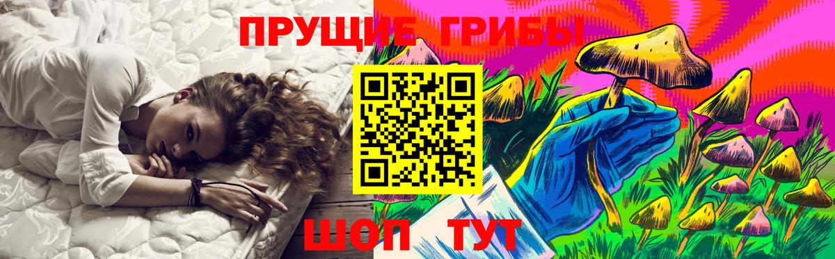 Псилоцибиновые грибы Psilocybine cubensis  Вход с VPN  купить наркотики сайты  Кингисепп 
