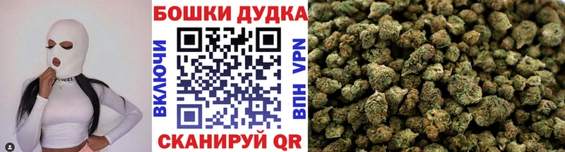Шишки марихуана семена  цены   Кингисепп 